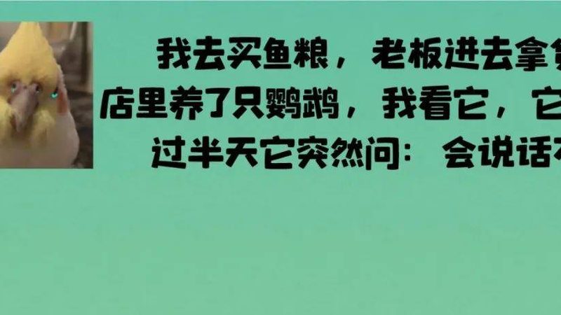 儿童无糖饼干旗舰店正品