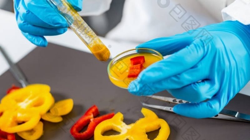 食品代工小作坊如何合规？资质要求揭秘**